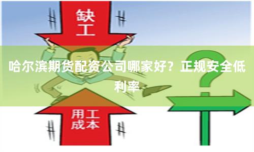 哈尔滨期货配资公司哪家好？正规安全低利率