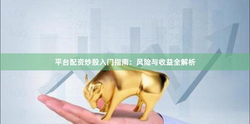 平台配资炒股入门指南：风险与收益全解析